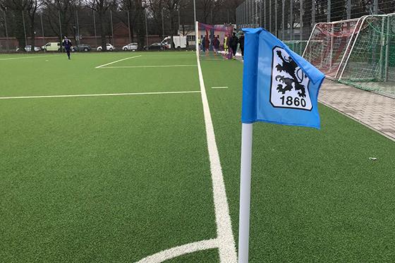 Auf Aufstiegskurs: Amateur-Löwen des TSV 1860 München. Symbolfoto: A. Seeler